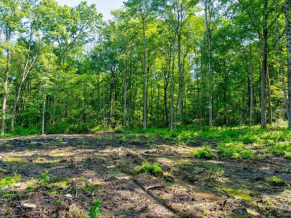 2nd image of Lot 22 Perry Pond Road