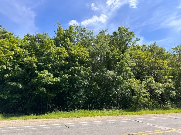 Ann Arbor Rd, Grass Lake, MI 49240