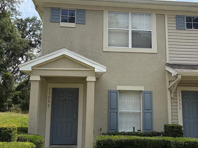 15737 Fishhawk Falls Dr — Photo 2