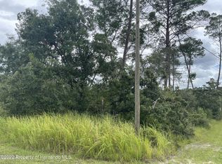 7064 Orinoco Rd, Weeki Wachee, FL 34613