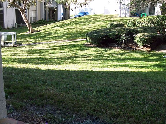 2nd image of 2625 State Road 590 APT 1712