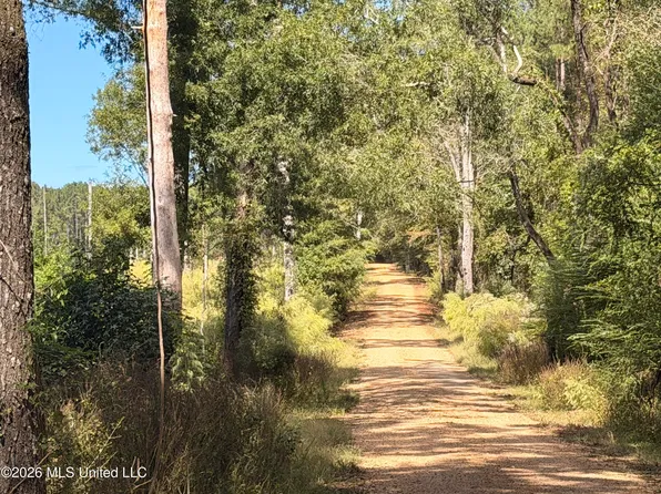 Peterson Rd SE, Smithdale, MS 39664