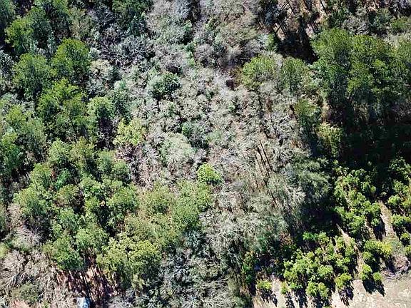 5th image of 0 County Road 138 Lot 2