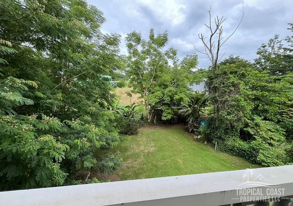 2 bed, 1.0 bath, 1000 sqft, $2,000 — Photo 2
