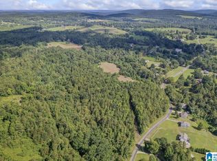 0 Cox Cove Rd PARCEL 6, Hayden, AL 35079