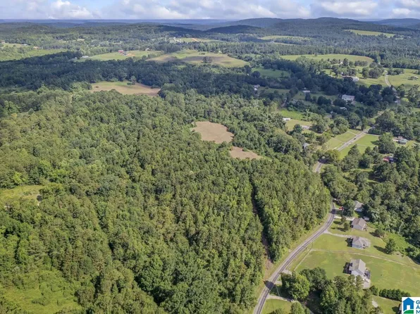 1 Peach Cir Parcel 5, Hayden, AL 35079