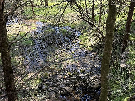 4th image of 855 Lick Creek Rd