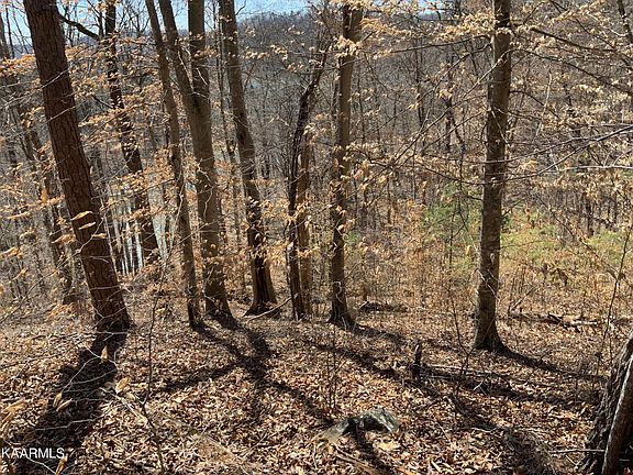 5th image of L-94 Hidden Cove Ln