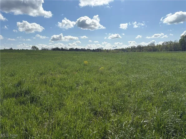Brosius Rd, Garrettsville, OH 44231