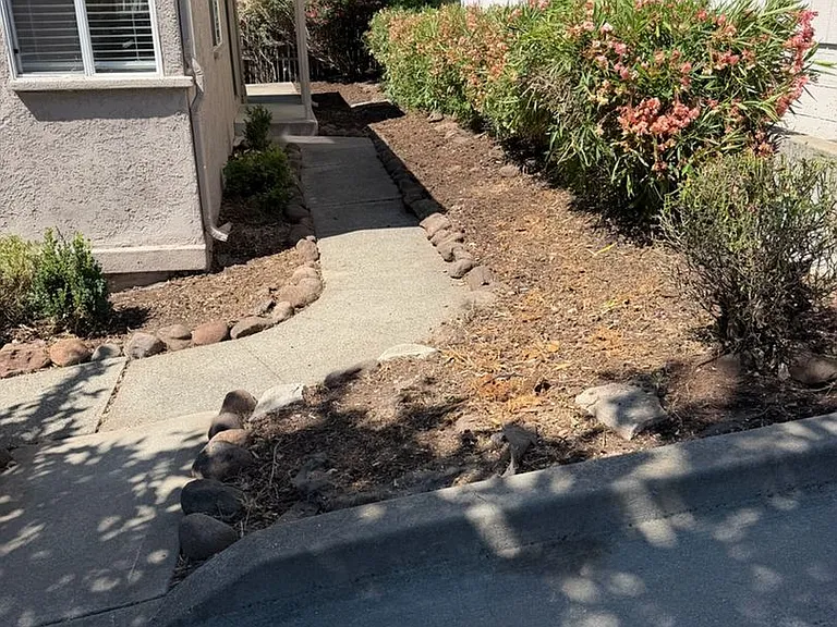 1830 Magazine St — Photo 2