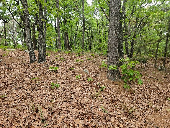 4th image of W Middle Mountain Rd