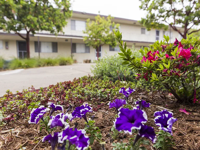 Midway Manor Apts. — Photo 30