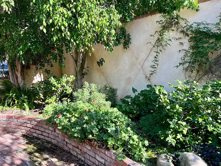 393 Rudolph Dr — Photo 5