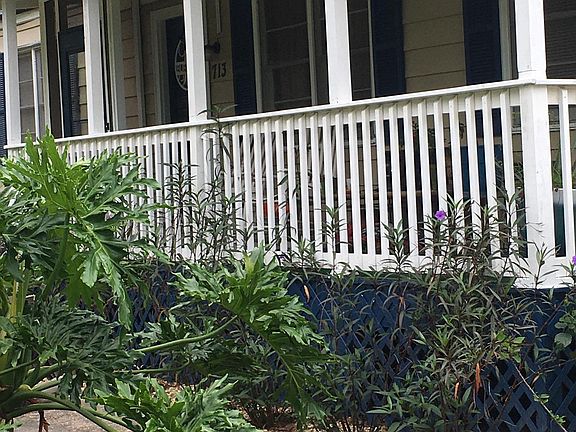 5th image of 713 E Ann St