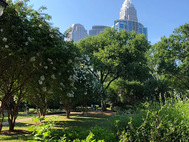 Fourth Ward Park directly across the street offers a peaceful escape from the bustle of Uptown!
