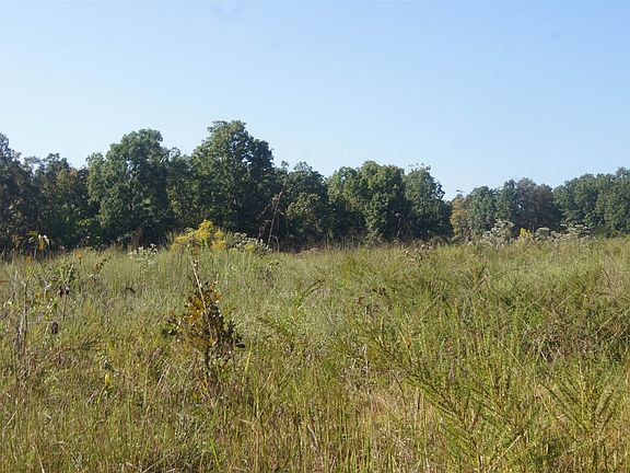 3rd image of Farm Road 101