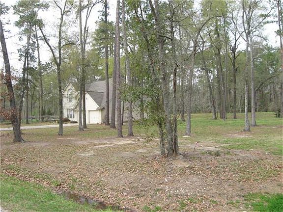 Side yard (250x81 lot)