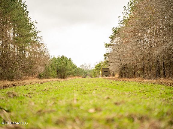 4th image of County Road 8