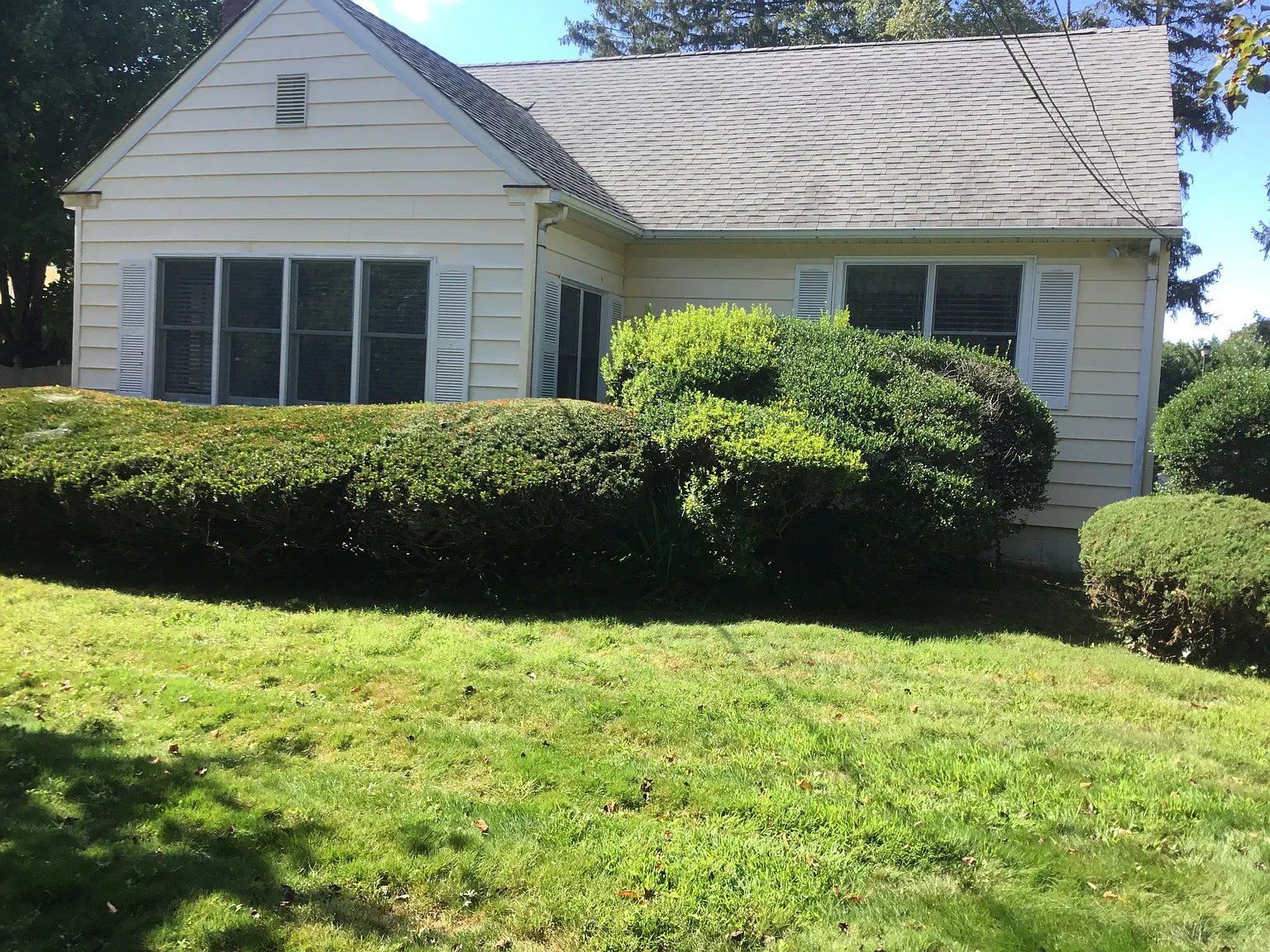 2 bed, 900 sqft, $1,400 — Photo 1