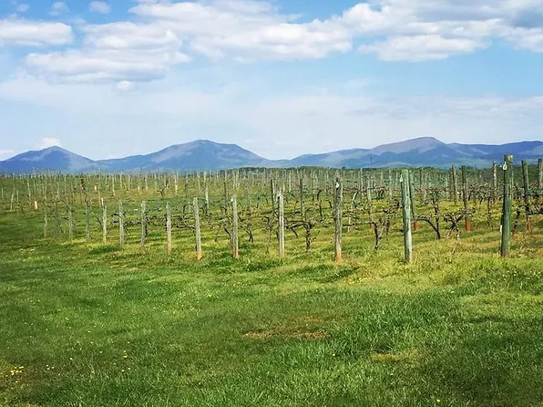 1345 Wingfield Dr, Goode, VA 24556