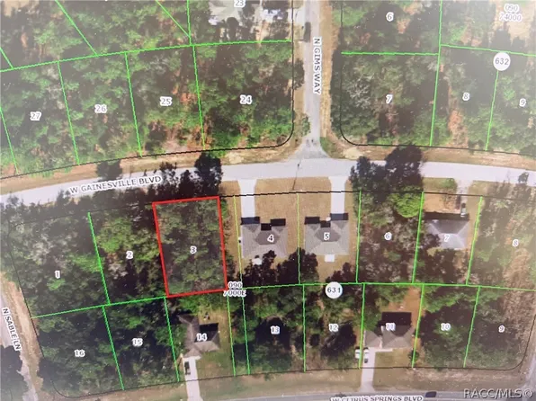 3098 W Gainesville Dr, Citrus Springs, FL 34433