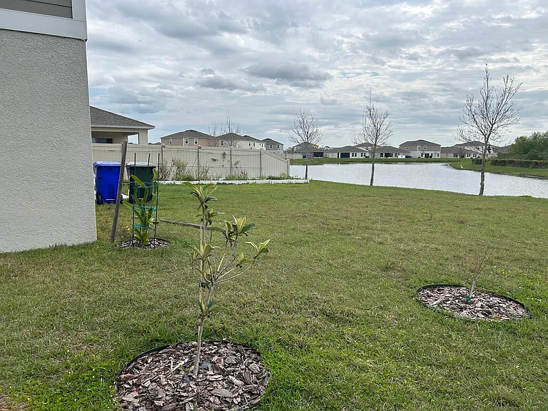 4448 Quartz Ct — Photo 3