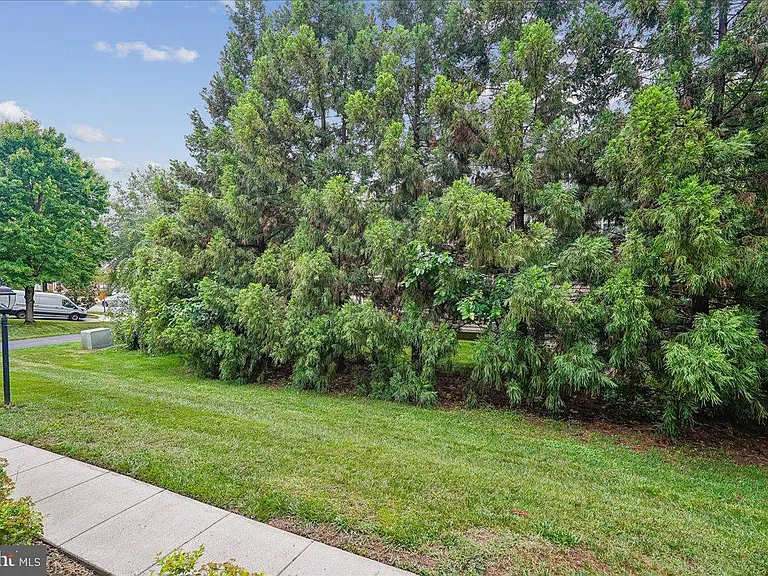 905 Royal Elm Ct — Photo 62
