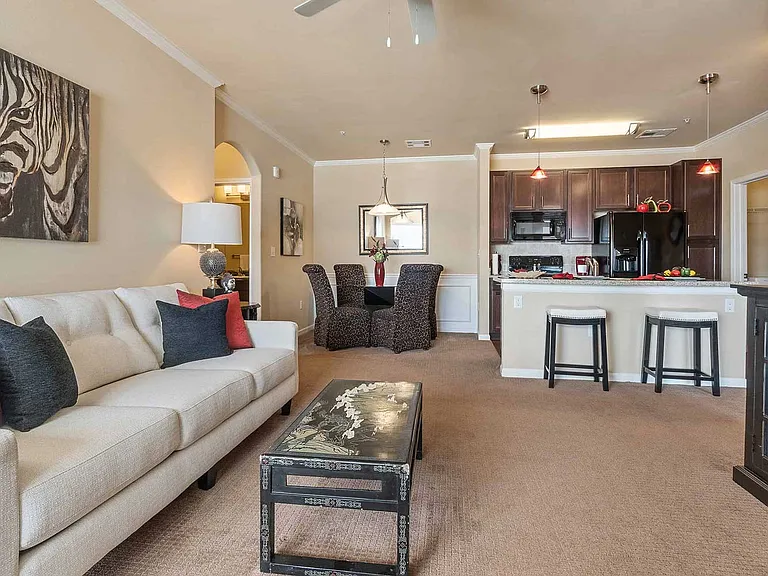 Esplanade at Stonebridge Village Apartments — Photo 16