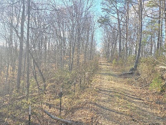 5th image of 1874 Blue Hollow Rd