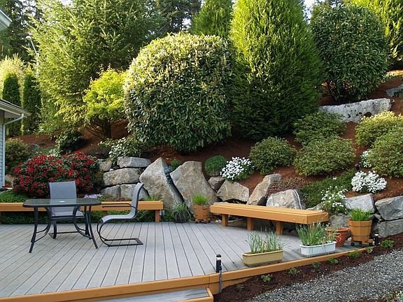 Backyard Deck 1