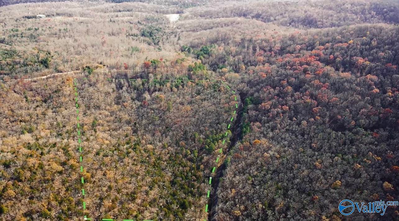 18 Acres Fish Trap Rd, Grant, AL 35747 Zillow