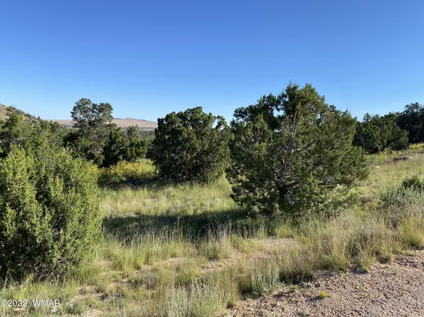 0 4078th, Springerville, AZ 85938