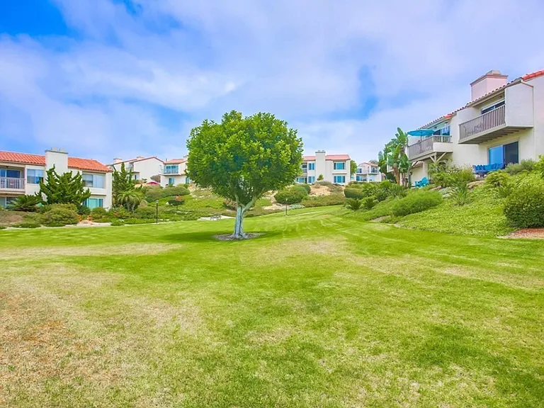 901 Caminito Estrada #C — Photo 27