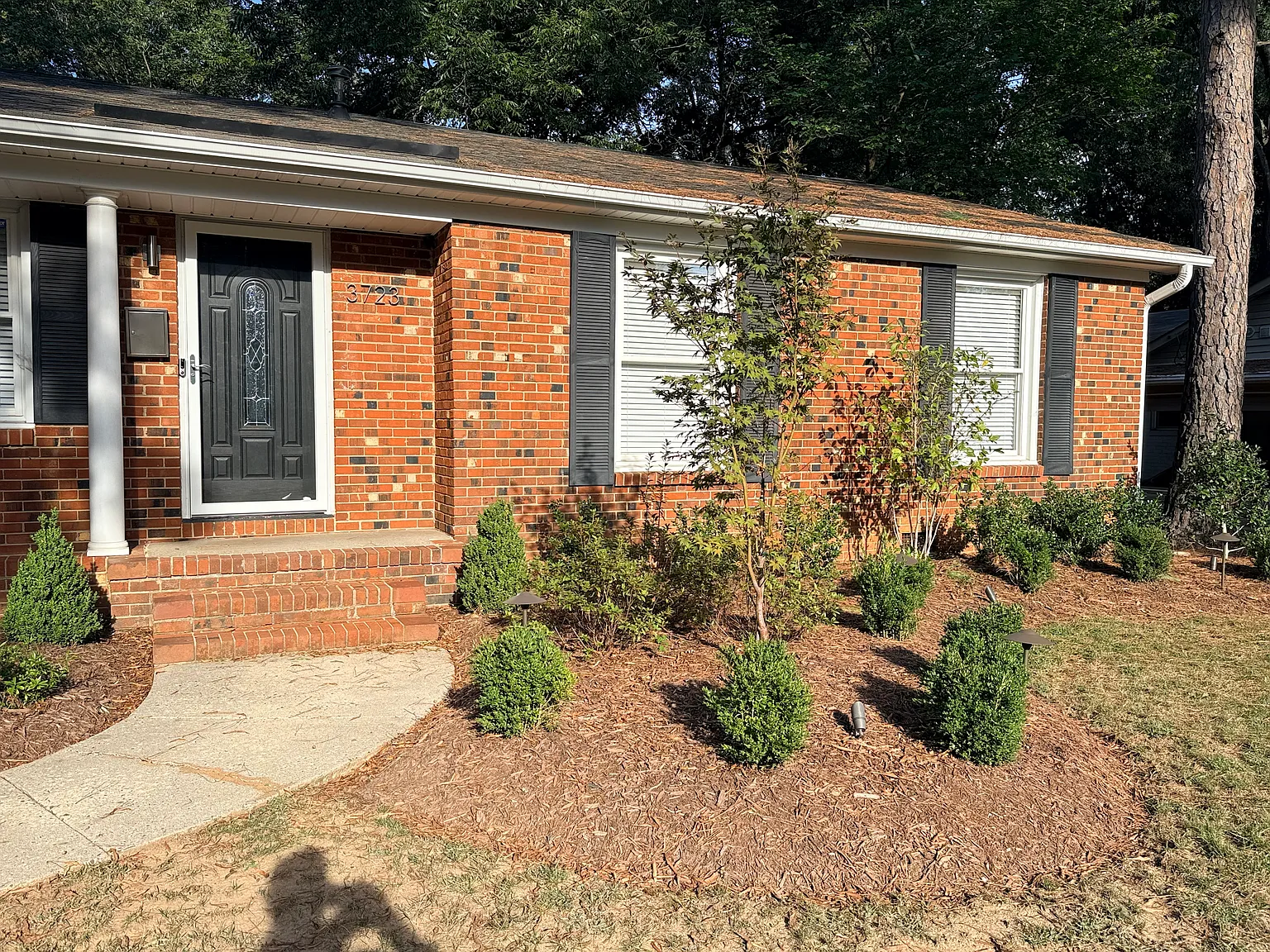 3 bed, 1294 sqft, $2,200 — Photo 4