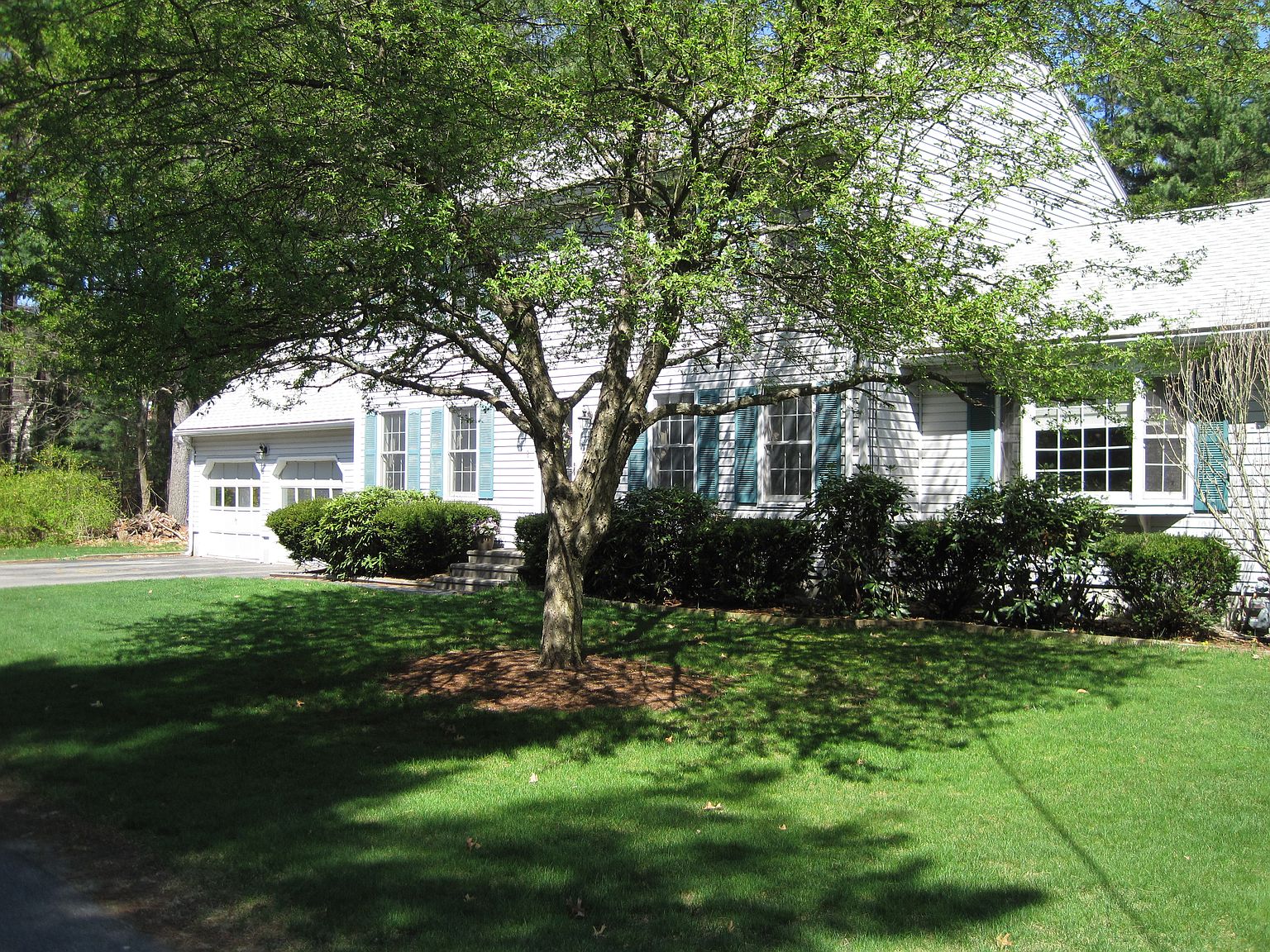 8 Spruce Rd, Westford, MA 01886 Zillow