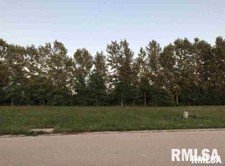 1084 Ravina Dr, Chatham, IL 62629