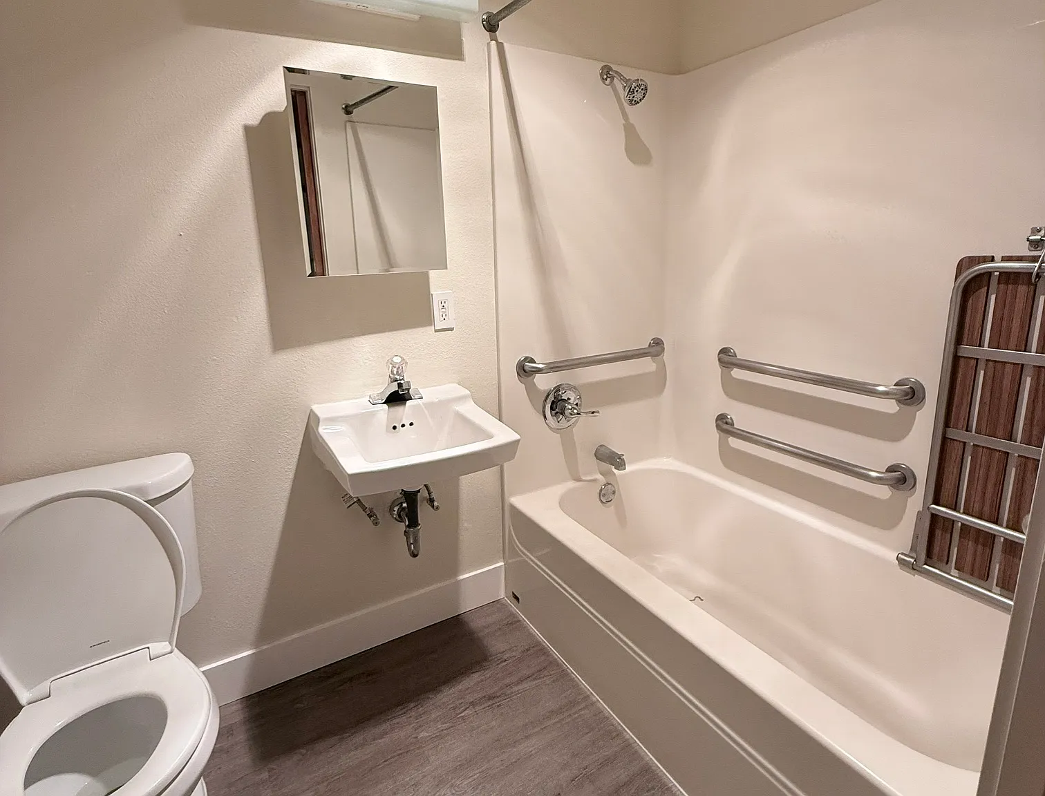 1 bed, 432 sqft, $1,250 — Photo 4