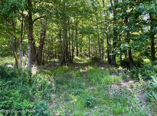 LOT 11 Dyson Rd, Swiftwater, PA 18370