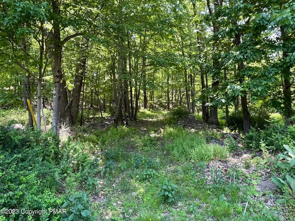 LOT 11 Dyson Rd, Swiftwater, PA 18370