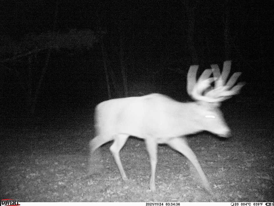 W9395 County Road C 1, Camp Douglas, WI 54618 MLS 1927854 Zillow