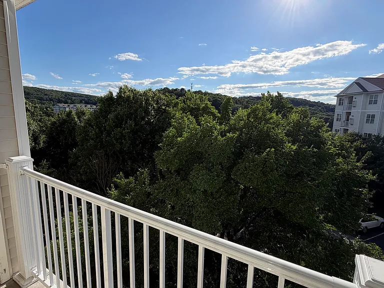 VIEW FROM DECK