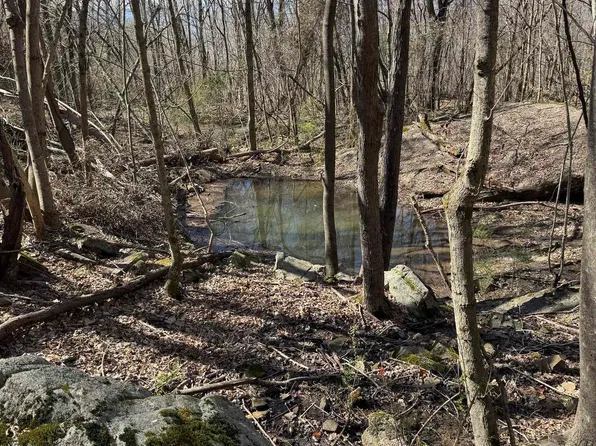 2901 County Road 111, Scottsboro, AL 35768