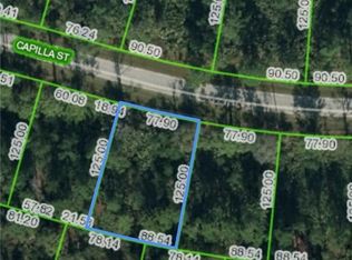 8433 Capilla St, Sebring, FL 33872