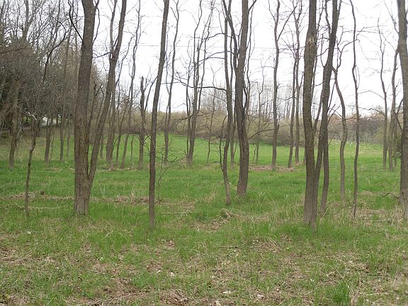 2nd image of S Lakeshore Dr