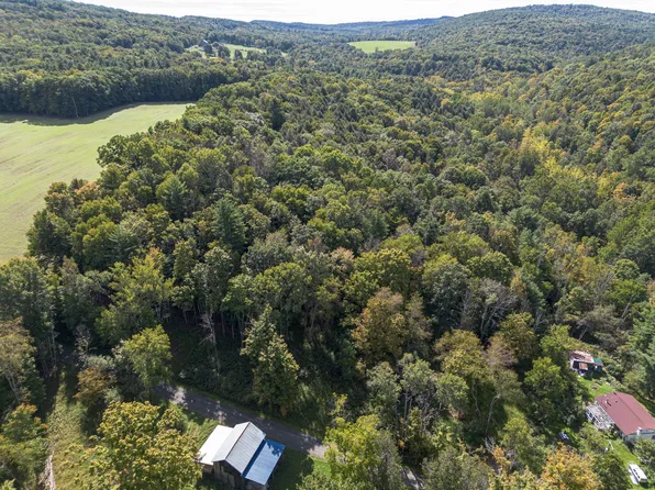 434 Shipman Rd, Nichols, NY 13812