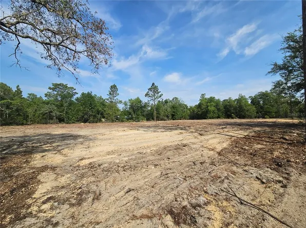 9591 NE 88th Ln Lot 51, Bronson, FL 32621