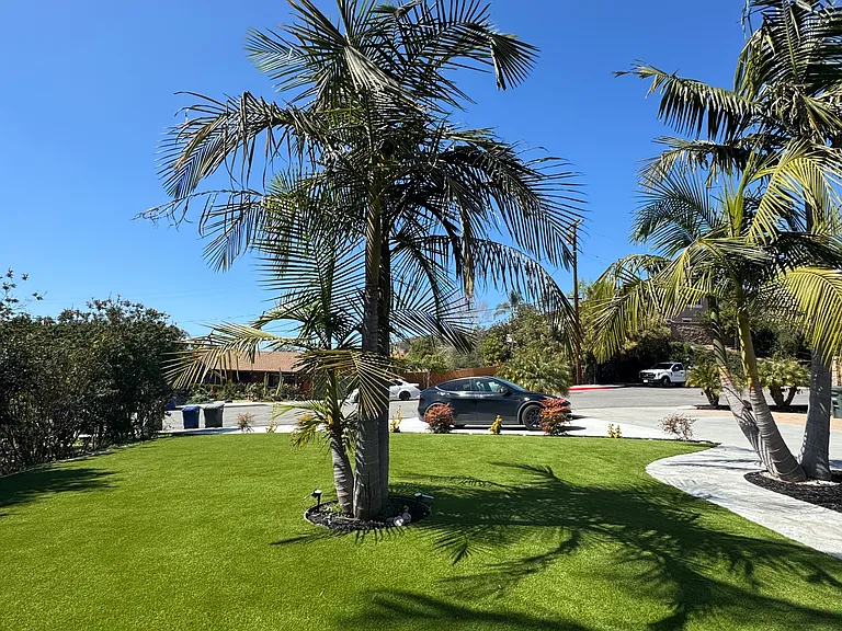 419 Marcos St — Photo 32