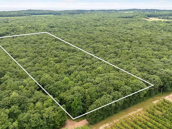 V/l W Woodrow Rd, Shelby, MI 49455