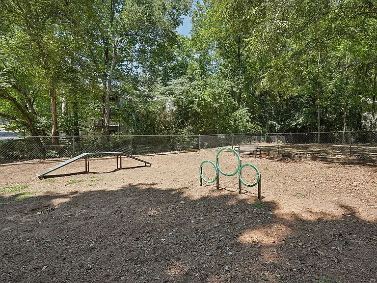 Briggs at Powers Park — Photo 30