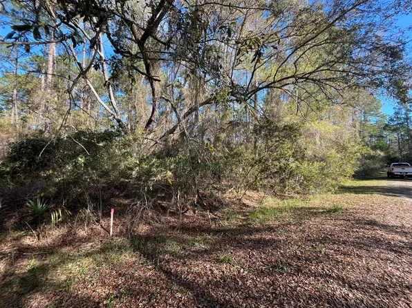 104 SE 5th Street, Georgetown, FL 32139